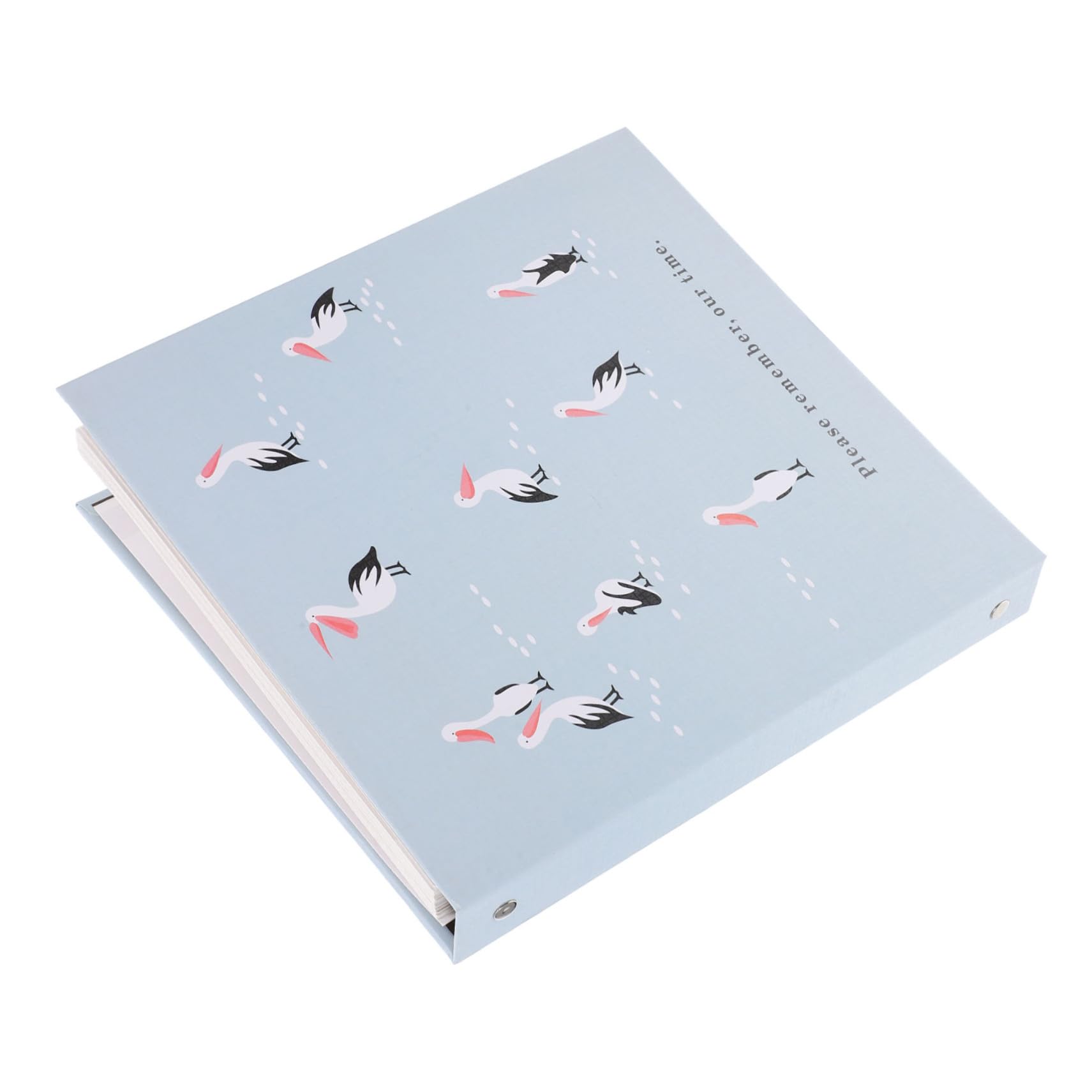 Amazon.com: HOOTNEE Pressed Flower Album Specimen Collection Book