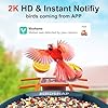 birdsnap® PAV-Bird Feeder with Camera 2K HD, 64GB Card, AI Identify Bird Species Smart Bird House with Camera Solar Powered, Record Video Live View, Auto Capture, Ideal Gift for Birds Lover #2
