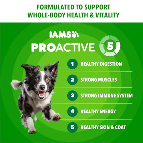 Image of IAMS Proactive Health Adult Minichunks Dry Dog Food, Beef & Rice, 5 lb