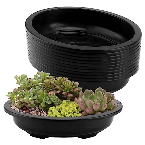 JAPCHET 12 PCS Oval Bonsai Training Pots, Plastic Pots with Drainage Holes Oval Nursery Pot for...