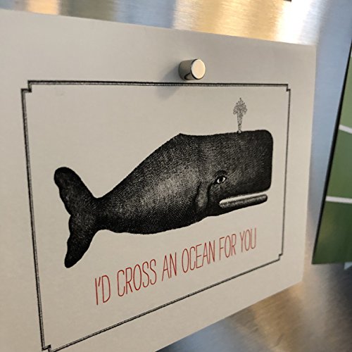 GoodHangups-Round-Cylinder-Magnets-635-x-635-mm-Pieces-Diy-Personalized-Multi-Use-For-Fridge-Door-Whiteboard-Magnetic-Map-Magnetic-Screen-Door-Bulletin-Boards-Refrigerators-silver