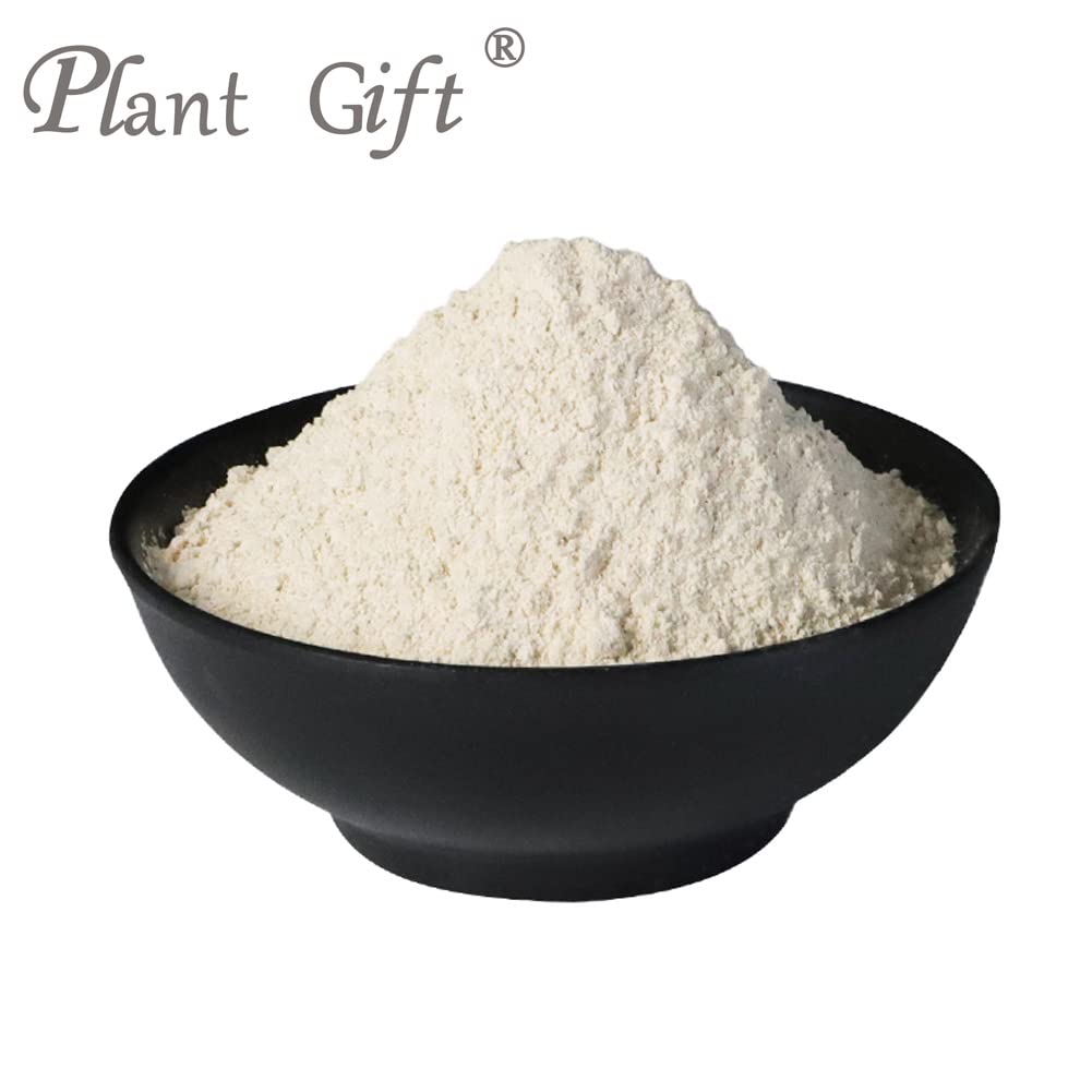 Plant Gift 100% Pure Angelica Dahurica Powder 白芷粉 Natural Angelica Dahurica Flour, Great Flavor for Drinks, Adds Flavor and Taste Non-GMO Powder, No Filler, No additives 100G/3.25oz