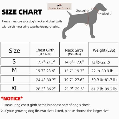 Image of Dog Collar with Padding | 01 Inch Width | Nylon Padded Collar | Easy to Clean | Best for Activities Like Walking, Training, Running and More (Black)