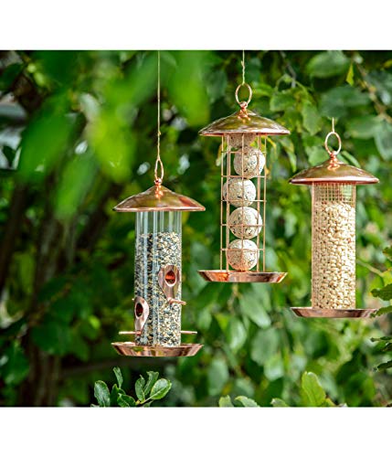 Dehner Natura Premium Wildvogel Meisenknödelsäule Joelle, Futterhaus / Futterstation für Wildvögel, Futterstelle wetterfest, inkl. Aufhängevorrichtung, Ø 16 cm, Höhe 30 cm, Metall, kupfer