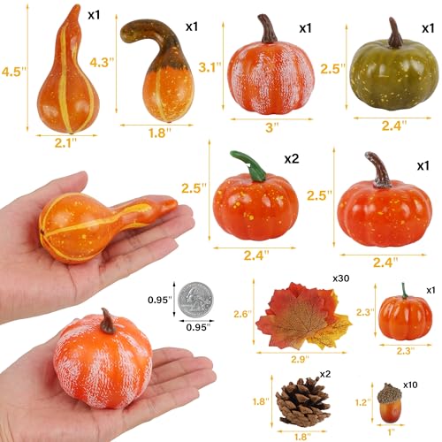 winemana Thanksgiving Fall Decorations for Home-6pcs Mini Pumpkins & 2pcs Gourds, 30pcs Leaves & 10pcs Acorns, 2pcs Pinecones Centerpiece Set-Harvest Decor for Table Mantel (Largest: 4.5" x 2.1")