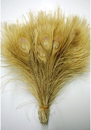 50 Pcs Peacock Feathers 10"-12" Bleached
