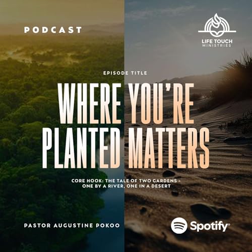 Where You're Planted Matters