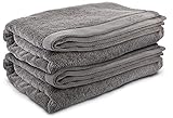 aqrade Badetuch Duschtuch Handtuch Premium I 2er-Pack I 70x140cm I 100% Baumwolle I 600 g/m² I hellgrau