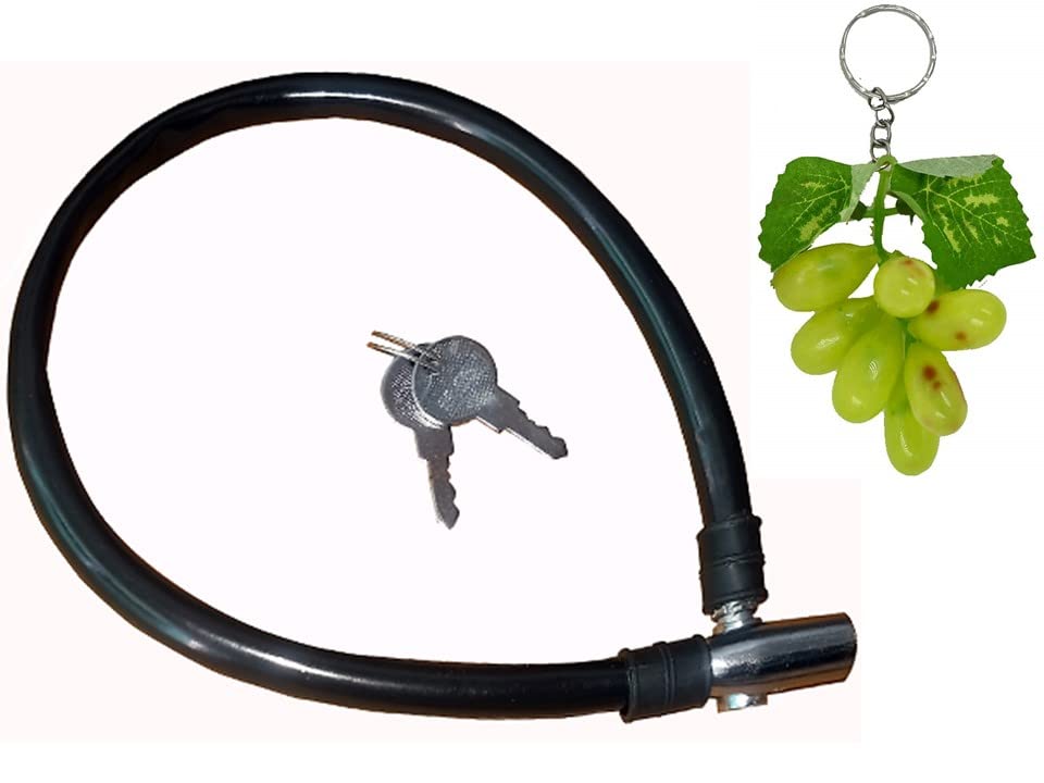 Cycle Lock for Bicycle & Helmet with Grapes Keychain (B0983X2V37) Amazon Price History, Amazon Price Tracker