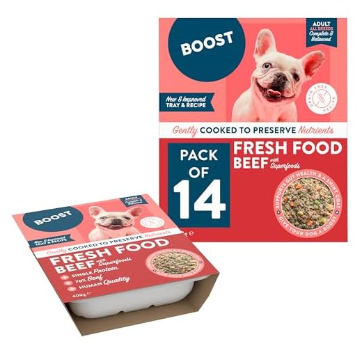 BOOST Pet Food Beef with Superfoods
