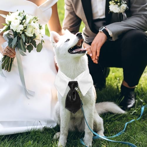 Oruola 2 Stück Formelle Haustier Fliege,Formelle Fliege für Hunde,Verstellbare Hundeschleifen für Welpen & Kätzchen,Hochzeiten, Geburtstage, Partys, Ostern & Jubiläen,Rot