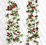 Zoom IMG-1 justoyou 2pz 2 38m ghirlanda Zoom IMG-1 justoyou 2pz 2 38m ghirlanda