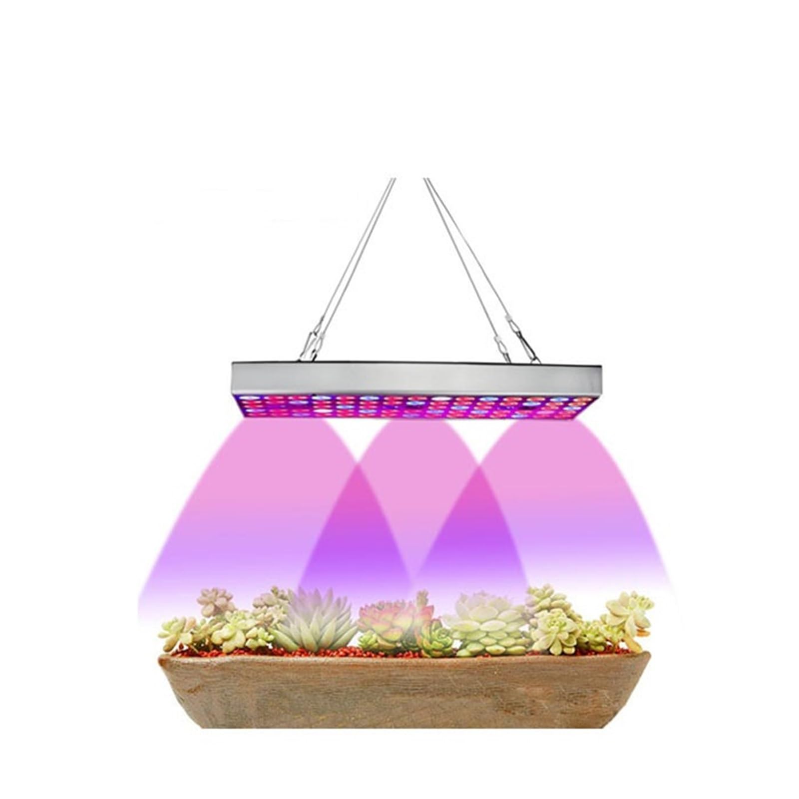 Lampada for coltivazione di piante a LED a spettro completo da 300 W for lampada fito serra for piantine VEG fiori interni,Raffreddamento silenzioso