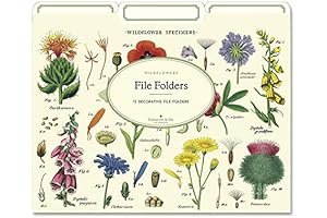 Cavallini Papers & Co. Wildflowers File Folders