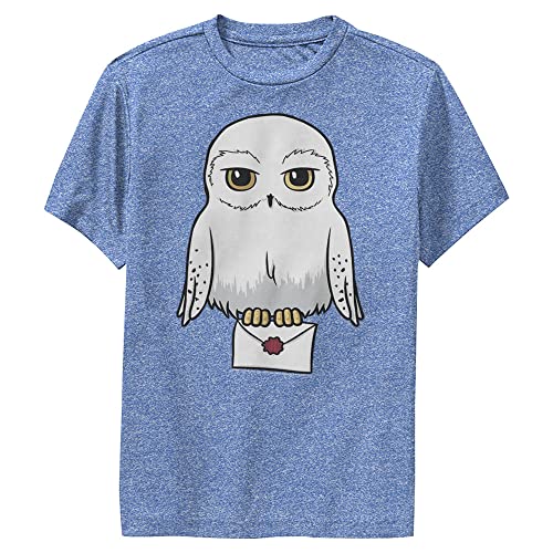 Harry Potter unisex-child Anime Hedwig Mail