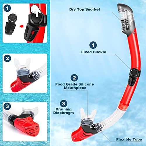 image for ZEEPORTE Mask Fin Snorkel Set, Travel Size Snorkeling Gear for Adults 