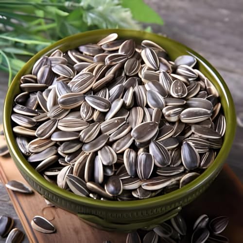 Image of Sunflower Seeds for Planting | Rare, Exotic Garden Seeds | Huge 15-20 feet Tall with Giant Sunflowers,(Pack Of 40 Pcs)