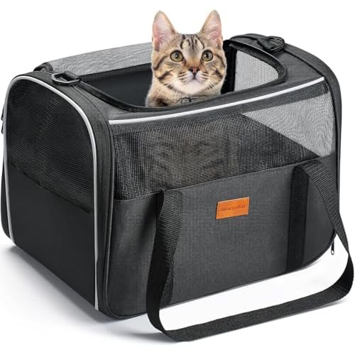 Morpilot Cat Carrier Soft – Portable Pet Carrier for Small or Medium Cats, Dogs and Puppy up to 14lbs, Airline Approved Dog Carrier with Safety Buckle – (Dark Gray)