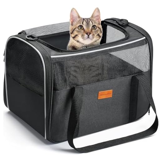 Katzentransportbox für kleine Katzen