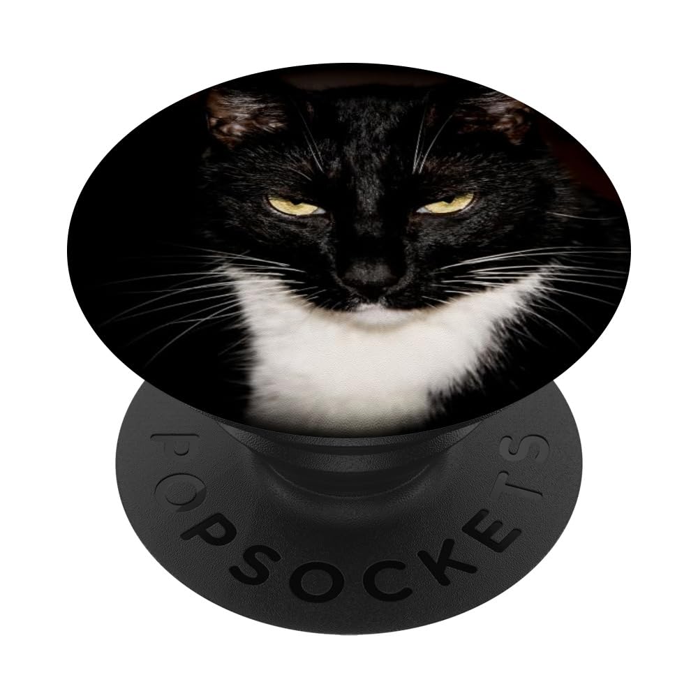Tuxedo Cat Black and White PopSockets Adhesive PopGrip