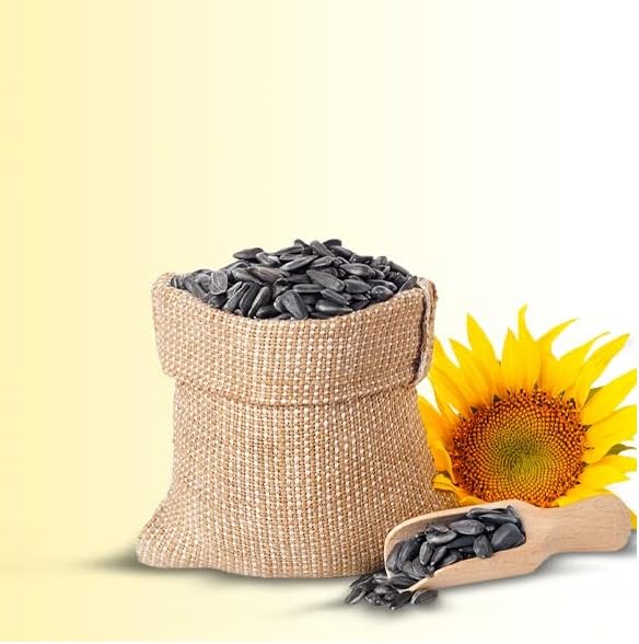 CybeXis Premium Sunflower Seed for Birds-[1Kg]