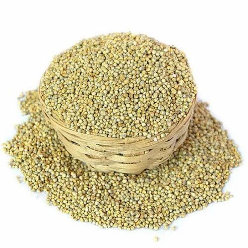 SANJU Bajra Seeds, Pearl Millet Seeds for Birds 1 Kg (B0D3PT9BB7) Amazon Price History, Amazon Price Tracker
