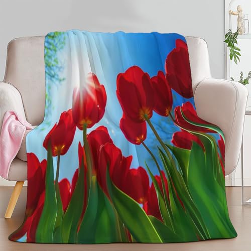 Azul Cielo Manta Franela para Cama 180 x 200 cm Campos De Tulipanes Botánicos Manta de Microfibra Suave Cálida Transpirable, para Cama sofá Oficina Coche Viajes Camping