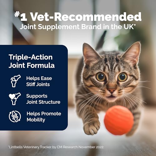 YuMOVE Cat Joint Supplement with Glucosamine,Chondroitin, Omega 3, Hyaluronic Acid, & Green Lipped Mussel - Joint Support Supplement - for Senior Cats 60 Capsules - Image 4