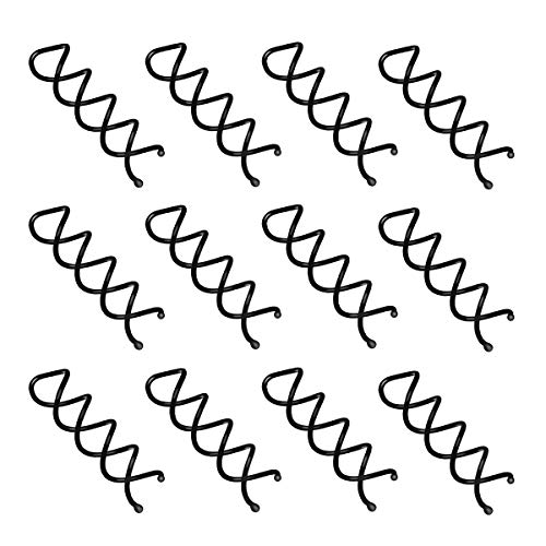 Frcolor Spiral Bobby Hair Pins Twist Screw Hair Clip Spin Clip, Pack of 20 (Black)
