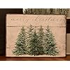 Primitivefarmhousemerrychristmastreewoodsignfunnyofficedeskdecorforwomenmengiftswoodenplaqueforhomeofficeshelftabledecor8x12inch  Urban Country Home Decor Primitive farmhouse merry christmas tree wood sign funny office desk decor for women men gifts wooden plaque for home office shelf table decor 8×12 inch  urban country home decor