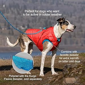 Kurgo Loft Dog Jacket Reversible Dog Coat Wear with Harness or Sweater Water Resistant Reflective Winter Coat for Large Dogs ink Blue L  Cucciolini Doodles Kurgo loft dog jacket reversible dog coat wear with harness or sweater water resistant reflective winter coat for large dogs ink blue l   cucciolini doodles