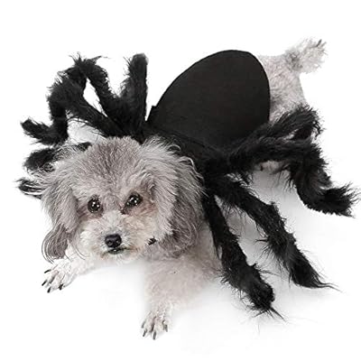 N / A Halloween Dogs Cats Costume, Furry Giant Simulation Spider Pets Outfits Cosplay Dress up Costume Halloween Pets Decoration for Dogs Puppy Cats, M