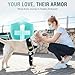 Dog Elbow Protector – Recovery Sleeve for Front Leg Wound, Elbow Calluses & Hygroma – Breathable Dog Shoulder Brace with Reflective Trim, Cone Alternative – Right Leg, XS
