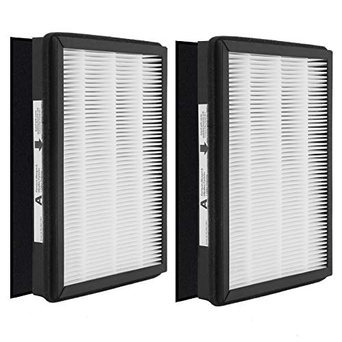 Drolma Size A HEPA Replacement Filter, Compatible with Filtrete & Idylis Air Purifier Devices FAP-C01-A, AC-2119, IAPC-40-140, IAP-10-150, Compare to Part Model # IAF-H-100A, 2-Pack