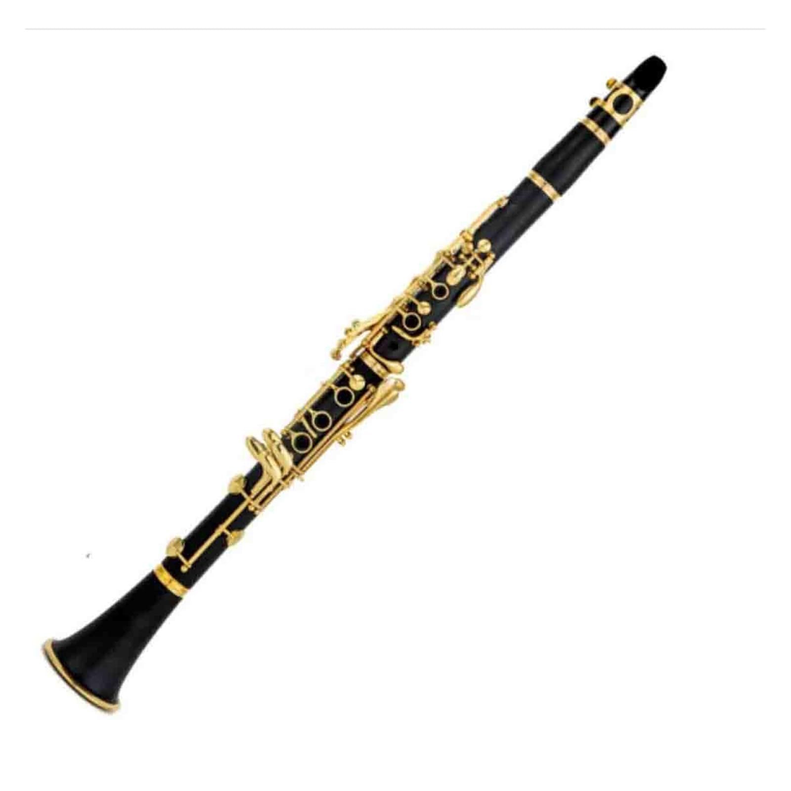 Strumento Per Clarinetto Per Adulti Clarinetto A 17 Tasti Doppio E Due Sezioni In Bachelite Strumento A Fiato Per Principianti