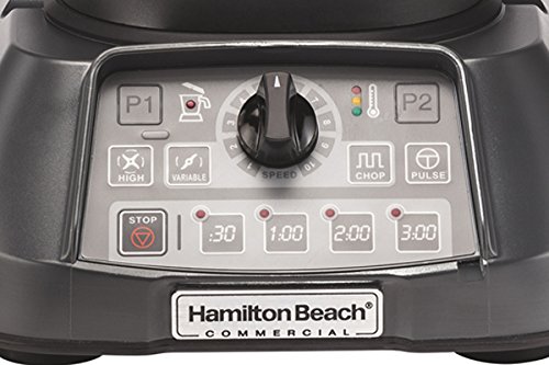 Hamilton Beach Commercial Hbf1100S Culinary Blender, 1 Gal/4 L, Powerful Precision With Great Results, 19.25" Height, 12" Width, 15" Length, Grey #TOP2