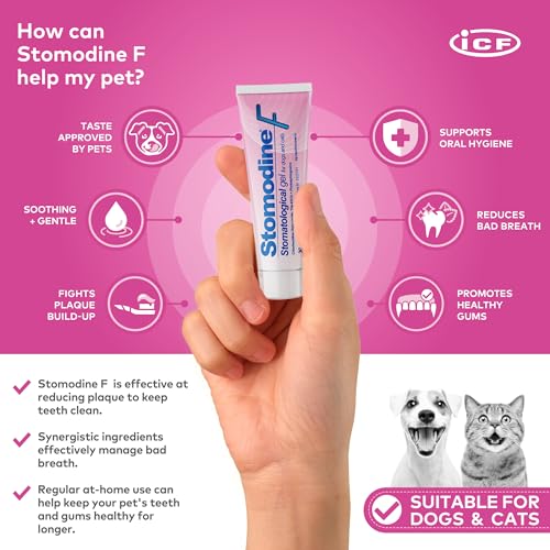 Stomodine F 30ml