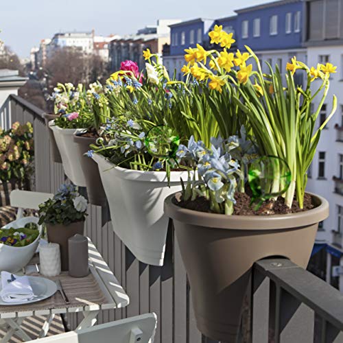 Relaxdays Bewateringsbal set van 2, gedoseerde planten irrigatie bloemen, gieter hulp kantoor, vakantie, Ø 6 cm, glas… - Afbeelding 6