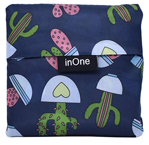 La Mejor review de Comprar cactus los 10 mejores. 5 Imagen adicional