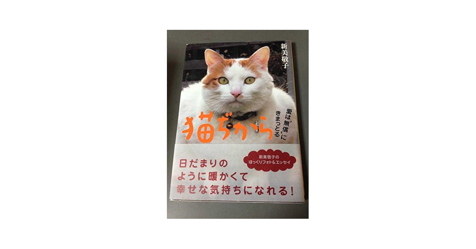 猫ぢから 愛は'無償'にきまっとる | 新美 敬子, 坂川 栄治 |本