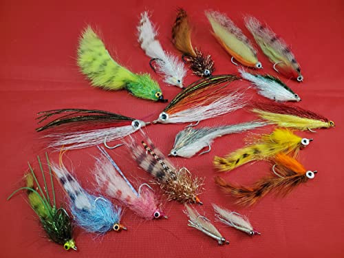 * Salt Water Inshore Fly Selection
