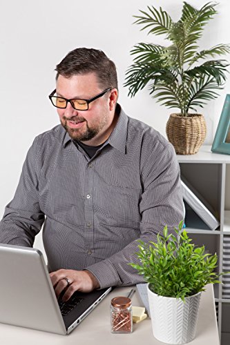 Inner Vision Eye Strain Relief Computer Screen Reading Glasses w/Case - Anti Blue Light, Anti Glare, Scratch Resistant, Spring Hinges - Unisex, (1.0 x Magnification), Black