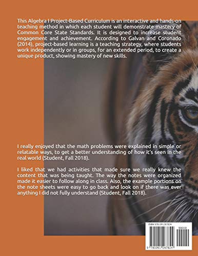 Algebra I Project-Based Curriculum: Aligned with the Common Core State Standards - Image 2