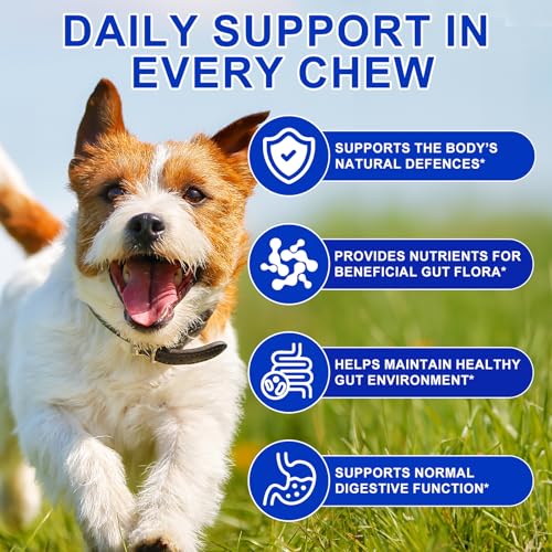 Probiotiques pour chiens avec prébiotiques – Probiotiques pour chien pour la santé intestinale | Soutient les enzymes digestives, la peau des démangeaisons, probiotique naturel pour chien – 150 goût – Image 3