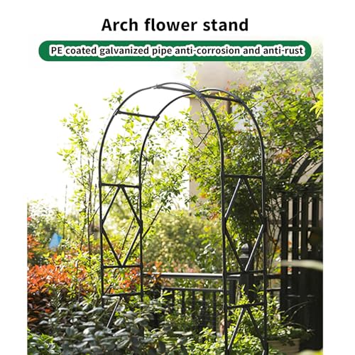 Arche de jardin en métal anti-rouille pour fixer plantes grimpantes