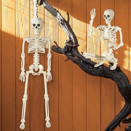 51-xEvQRL3L._AC_ SUNREEK Halloween Skeleton Decorations 3ft Life Size Human Skeleton with Moving Joints Scary Halloween Plastic Skeleton for Halloween Graveyard Haunted House Outdoor Decoration