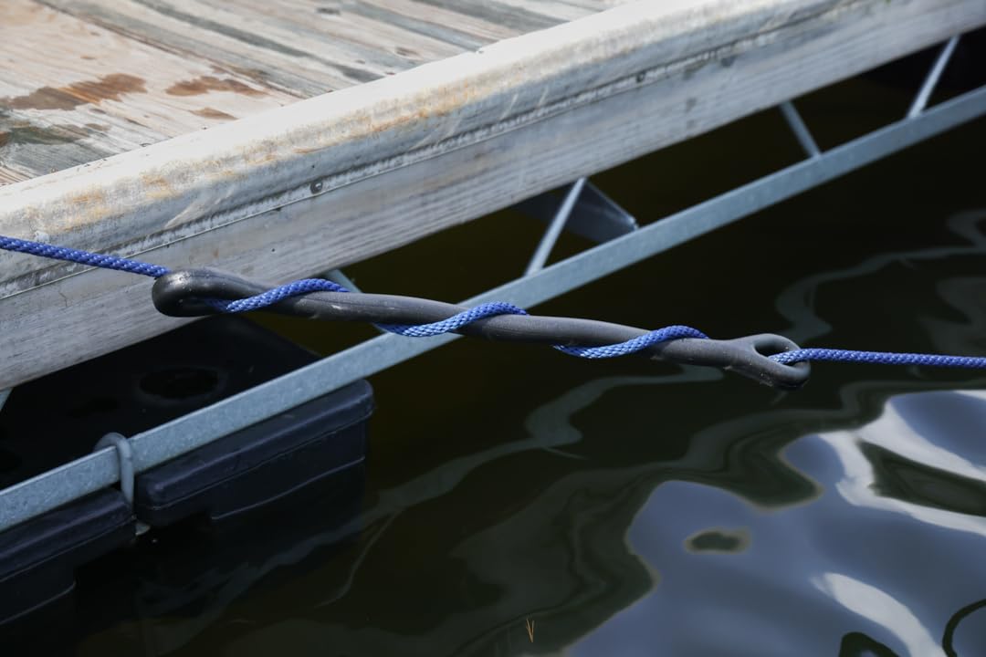 The Perfect Bungee 24