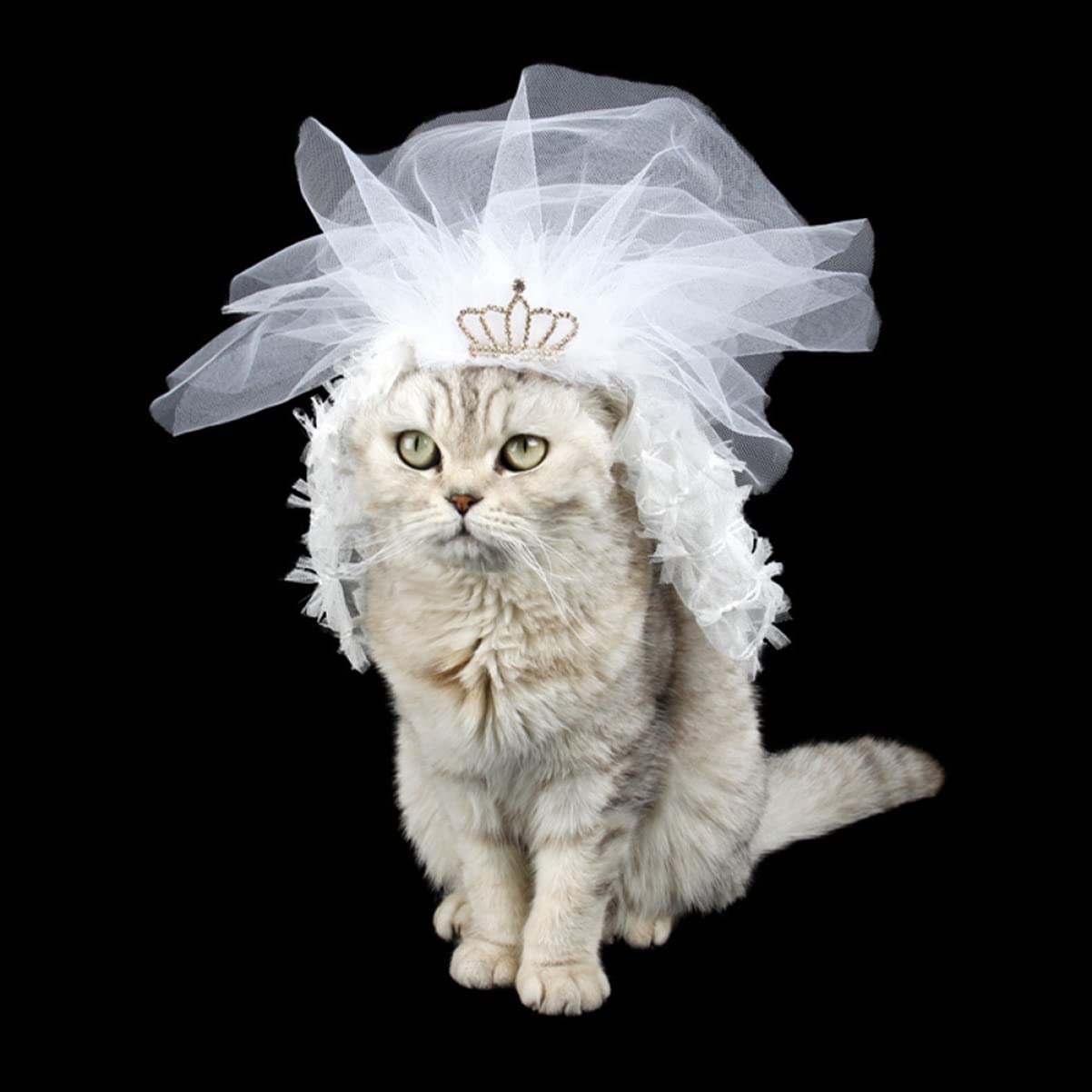 bridesmaid dresses for cats MissyMoMo Dog & Cat Dress with Sailor Collar, Cute Dress for Cats, XL, Medium Orchid main image 1