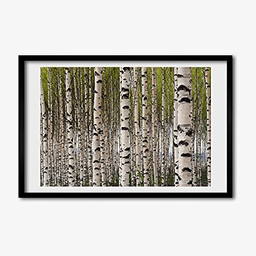 Affiche forêt de bouleaux 60x40 cadre photo MDF tableau de peinture moderne Tulup