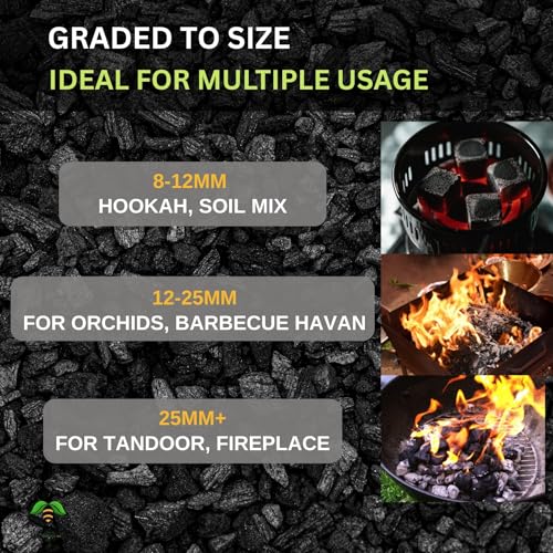Image of Wood Based Activated Charcoal (1 Kilogram) for Orchid Potting, anthurium Plants, Horticultural Grade, Grilling, Barbecue, Baby Dhoop, BBQ Low Smoke Charcoal (1KG)